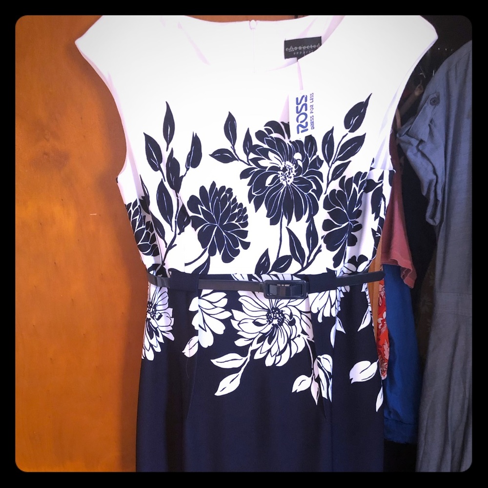 Size 6 Connected Apparel Dress